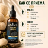 LM_Priem_3