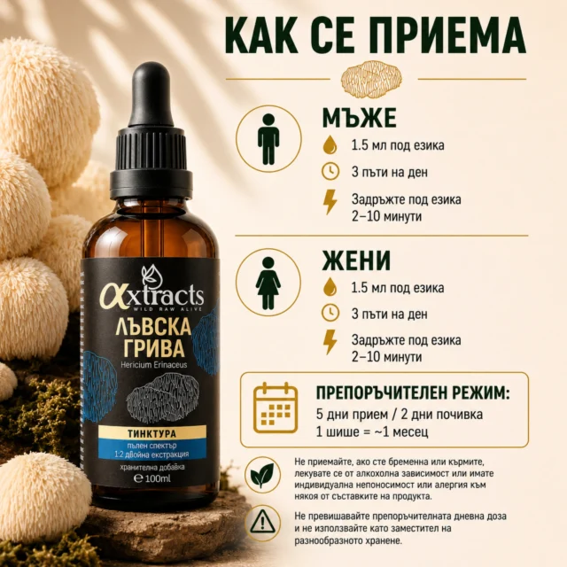 LM_Priem_3 LM_Priem_3